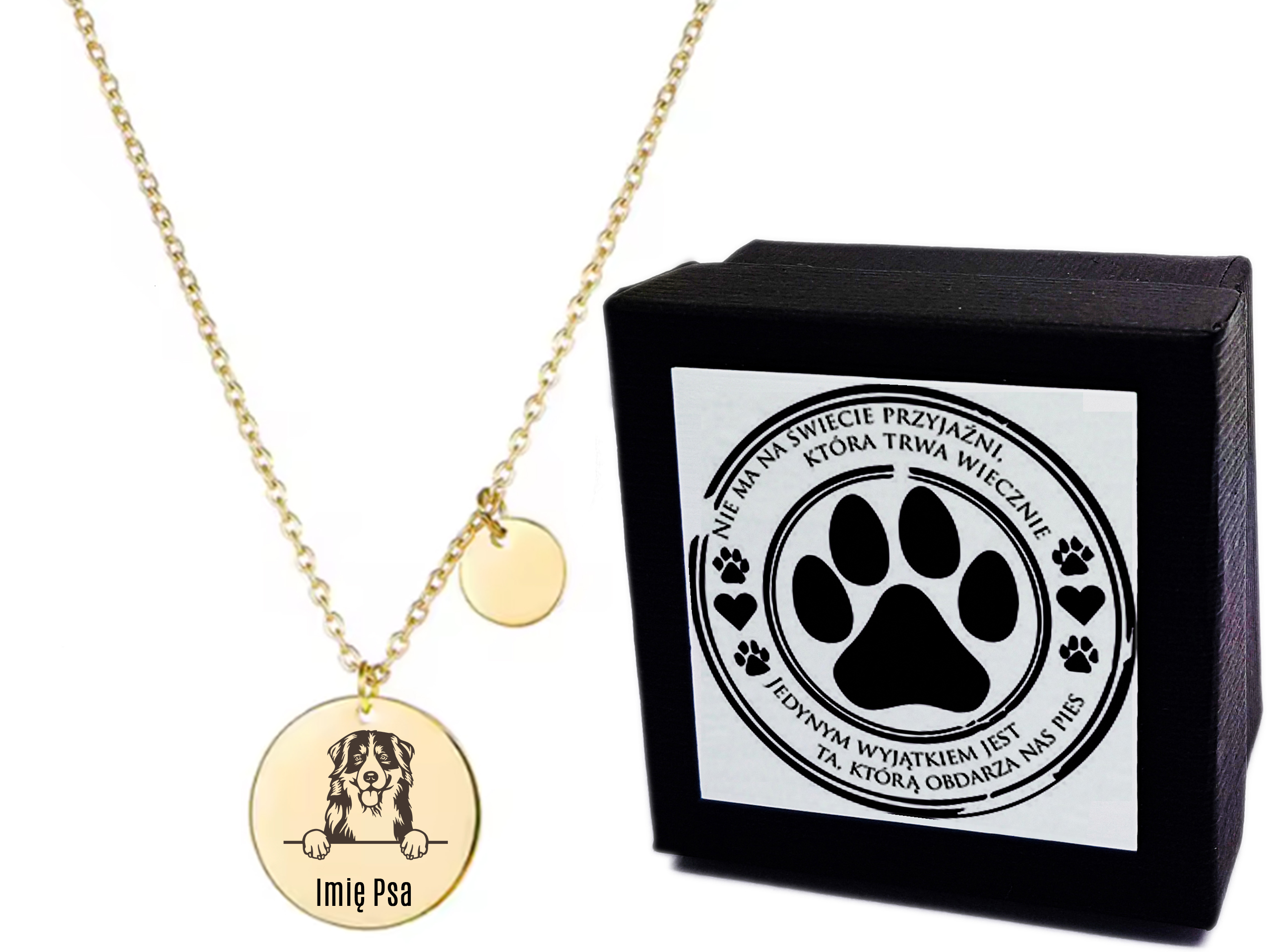 Bernese Mountain Dog